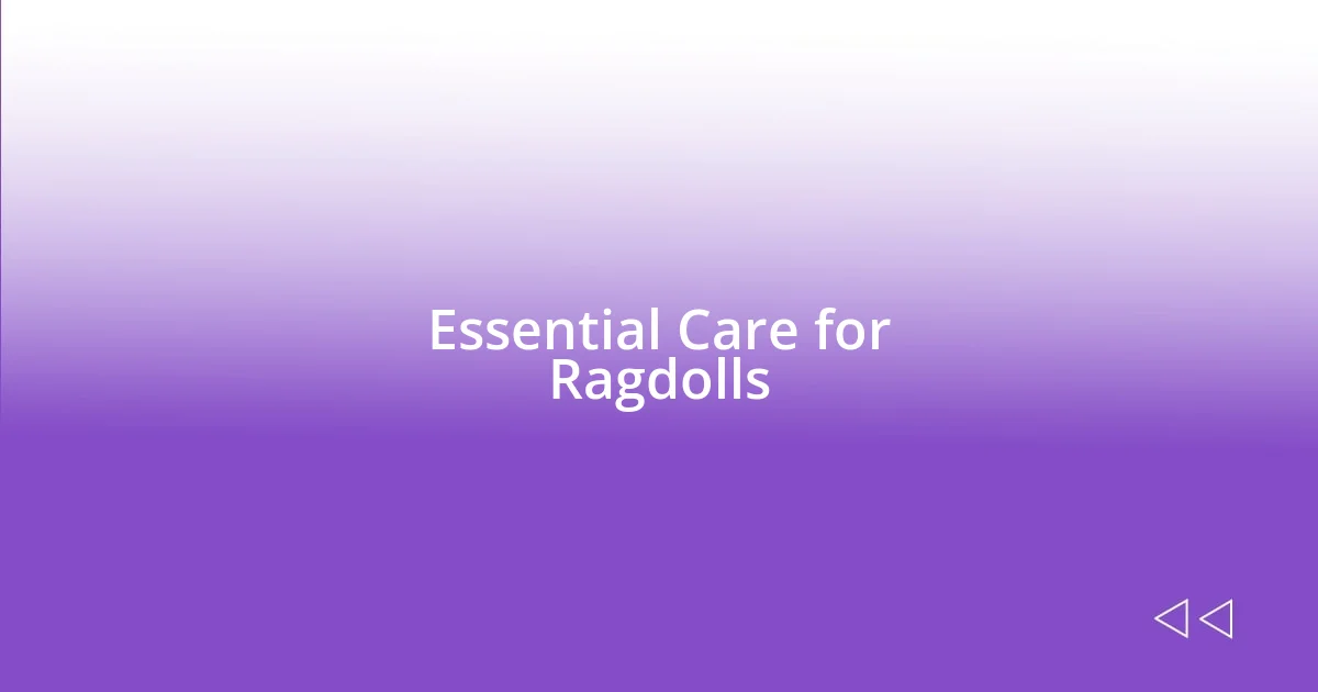 Essential Care for Ragdolls