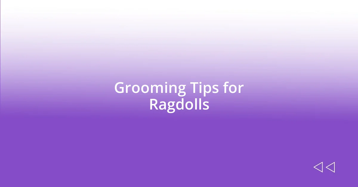 Grooming Tips for Ragdolls