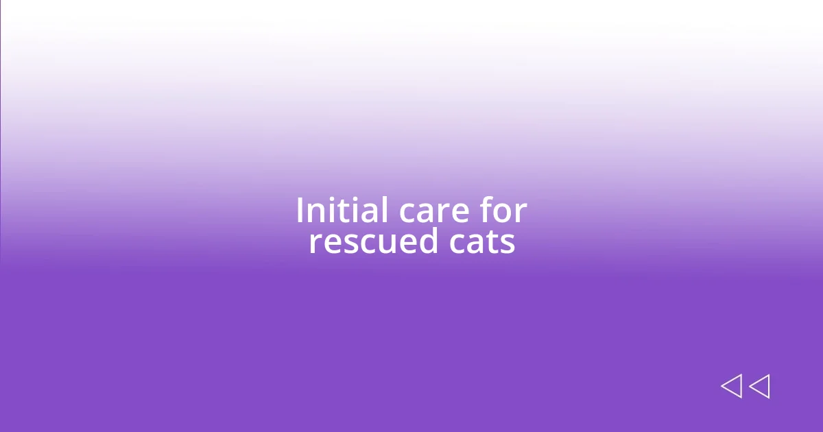 Initial care for rescued cats