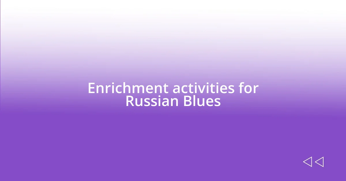 Enrichment activities for Russian Blues