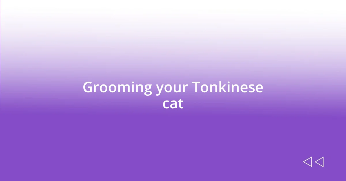 Grooming your Tonkinese cat