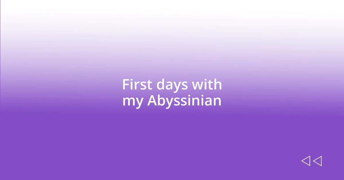 First days with my Abyssinian