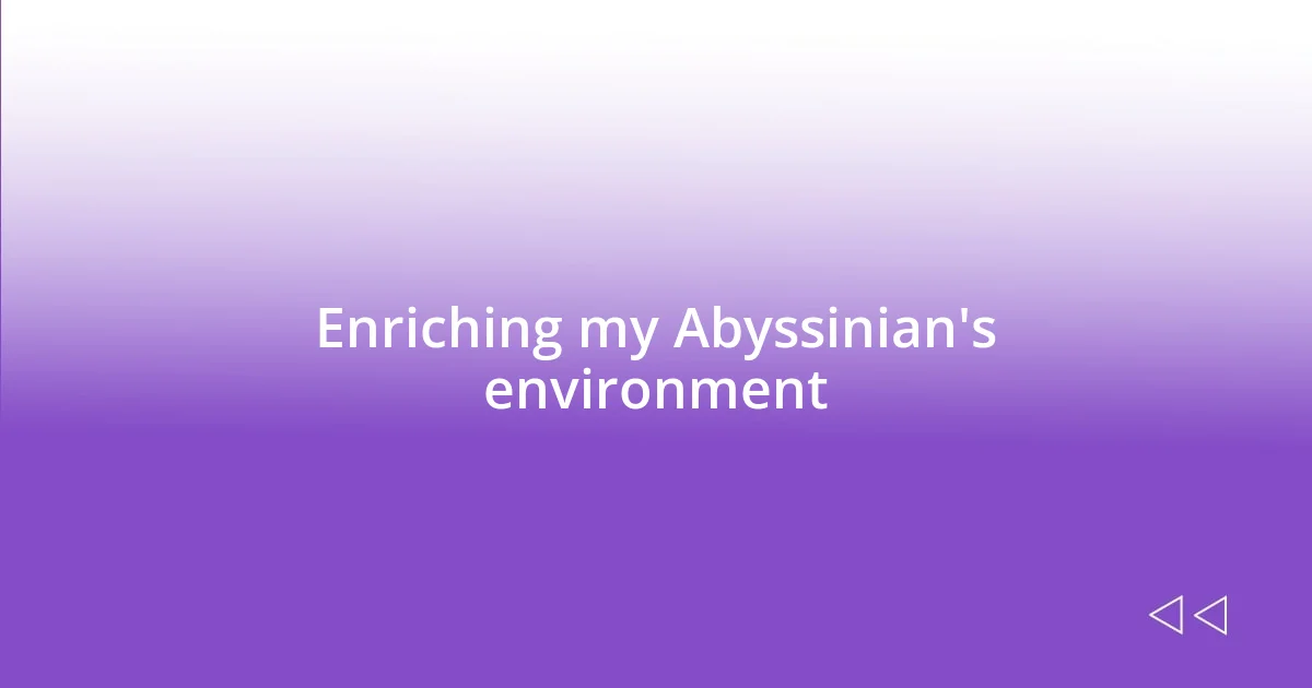 Enriching my Abyssinian