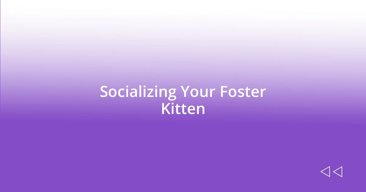 Socializing Your Foster Kitten