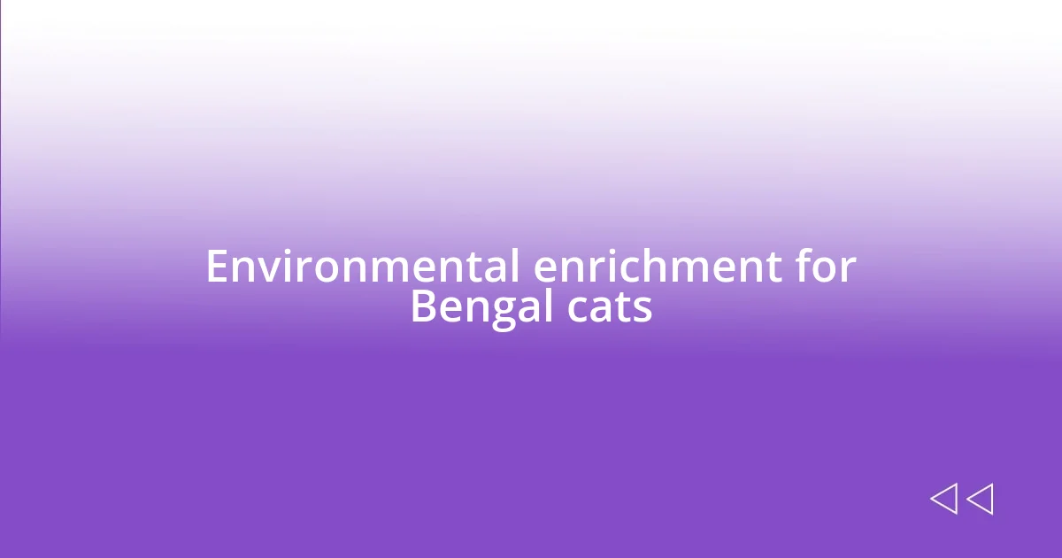 Environmental enrichment for Bengal cats