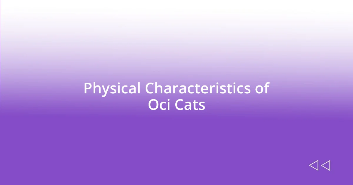 Physical Characteristics of Oci Cats