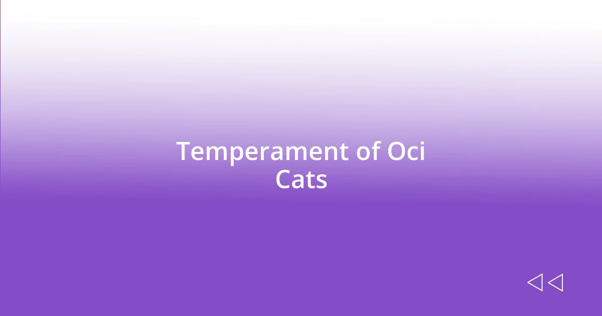 Temperament of Oci Cats