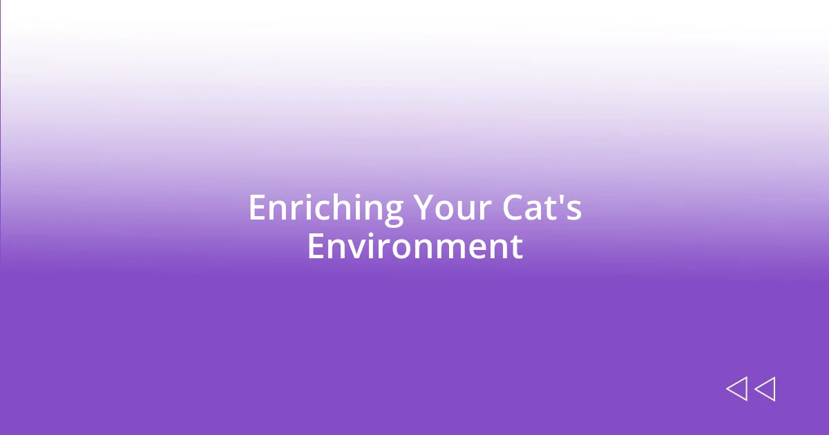 Enriching Your Cat