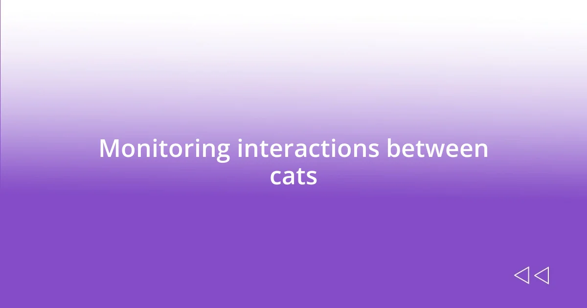 Monitoring interactions between cats