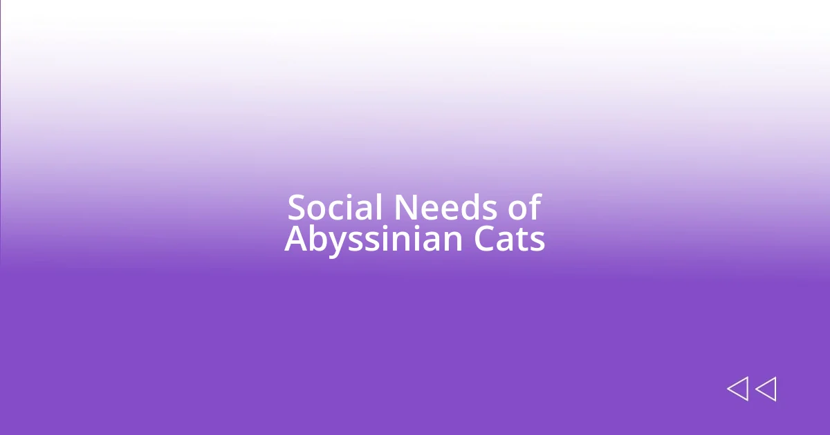 Social Needs of Abyssinian Cats