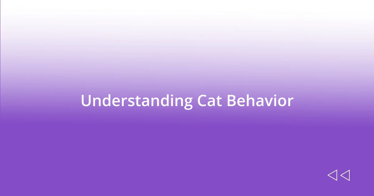 Understanding Cat Behavior