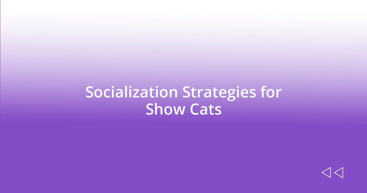 Socialization Strategies for Show Cats