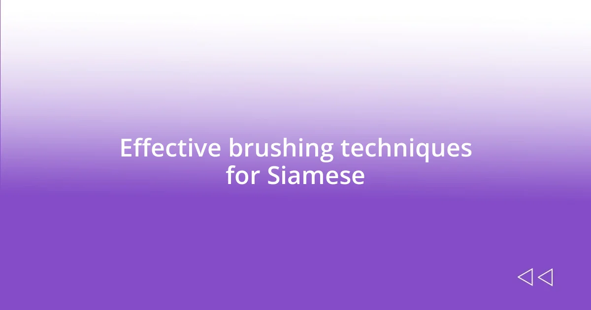 Effective brushing techniques for Siamese