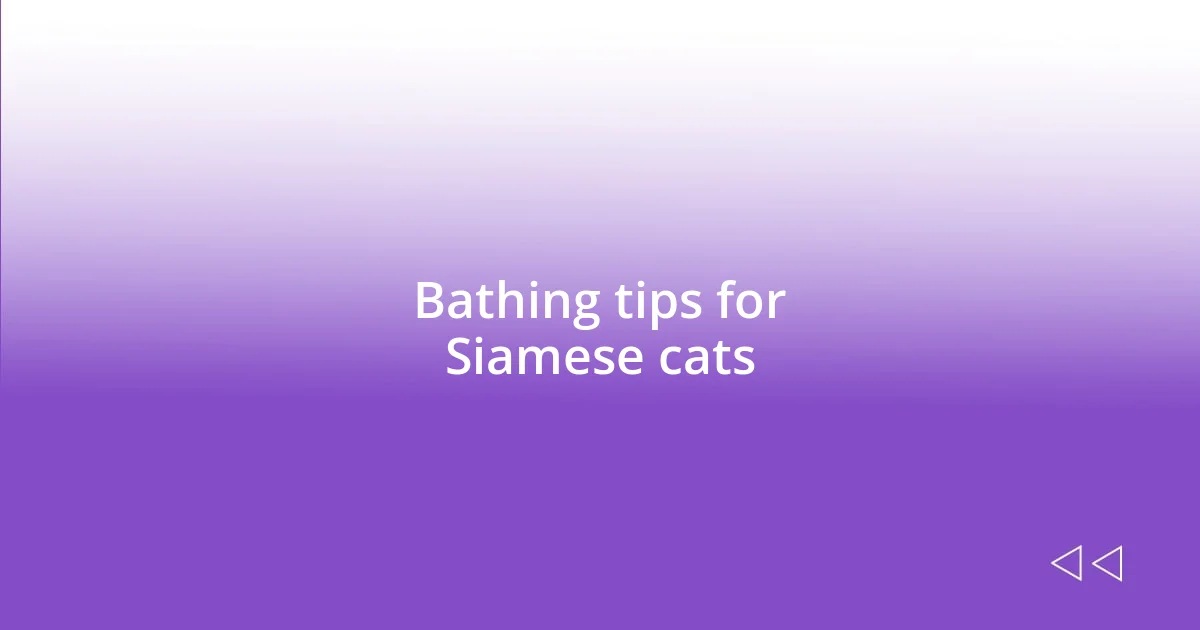 Bathing tips for Siamese cats