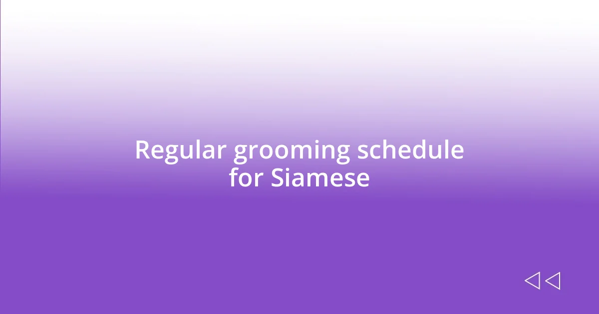 Regular grooming schedule for Siamese