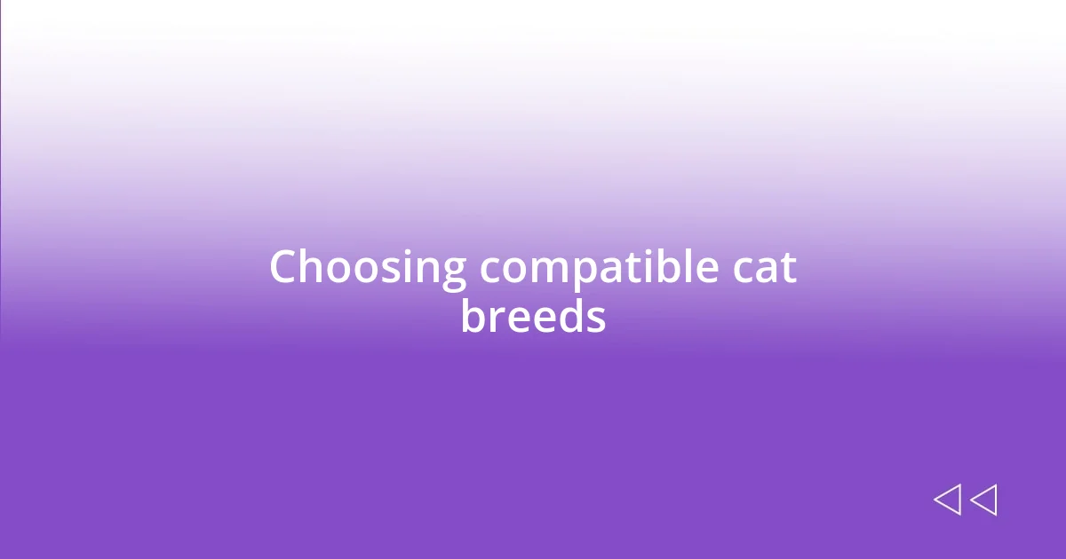 Choosing compatible cat breeds