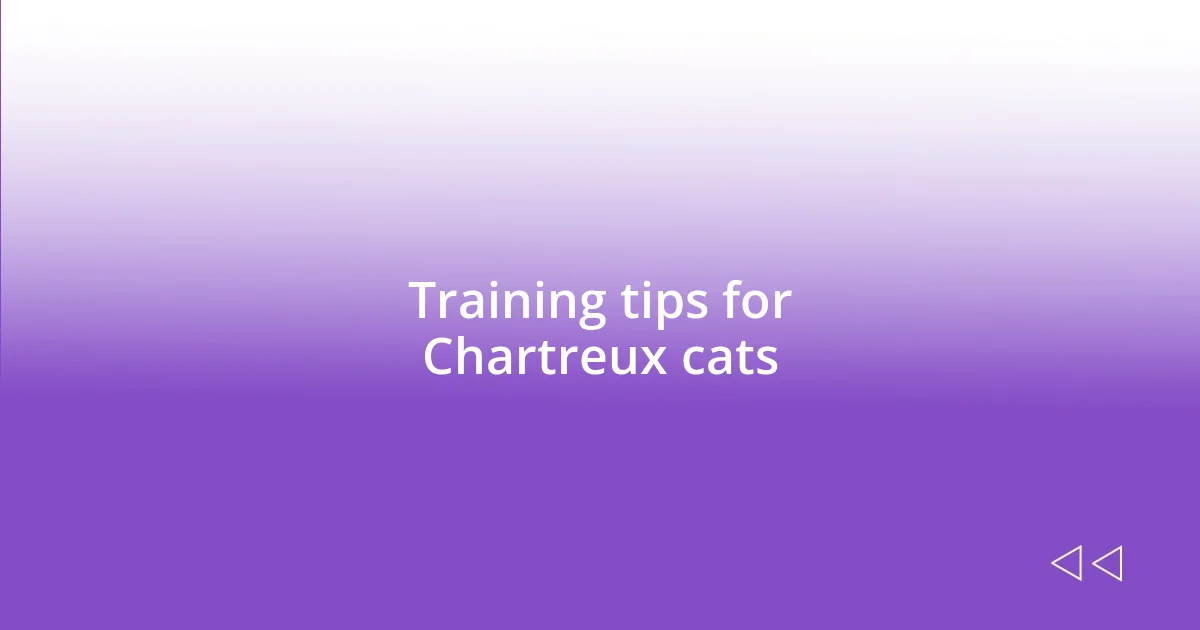 Training tips for Chartreux cats